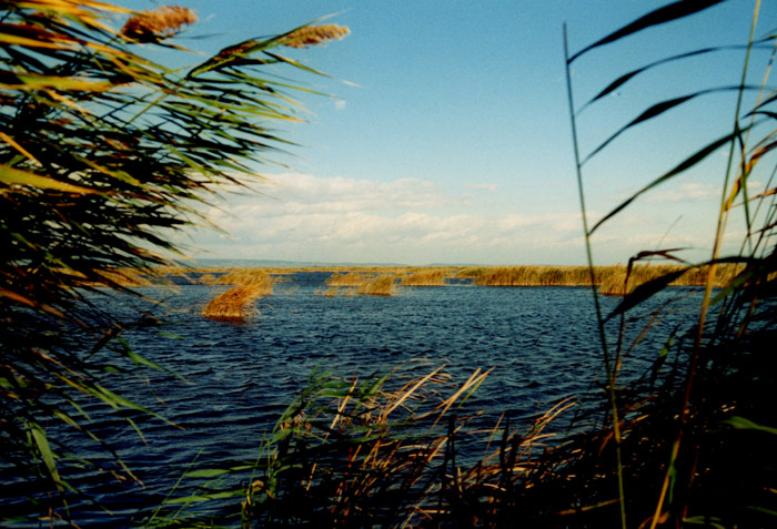 steppensee