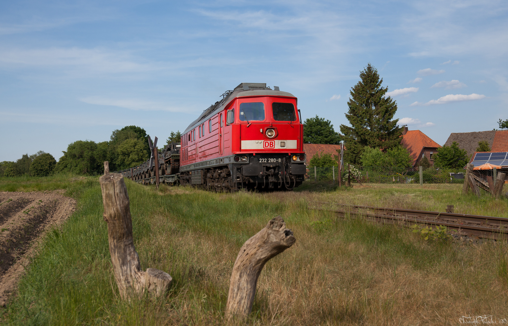 Steppenwolf in der Heide