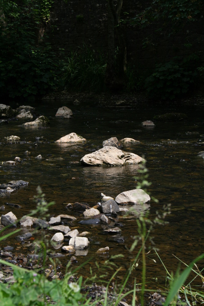 Stepping Stones