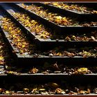 Steps and leaves