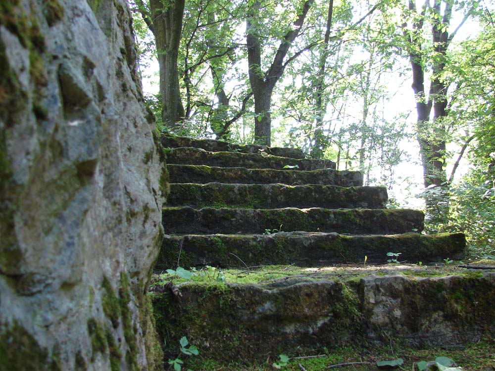 Steps In Stone