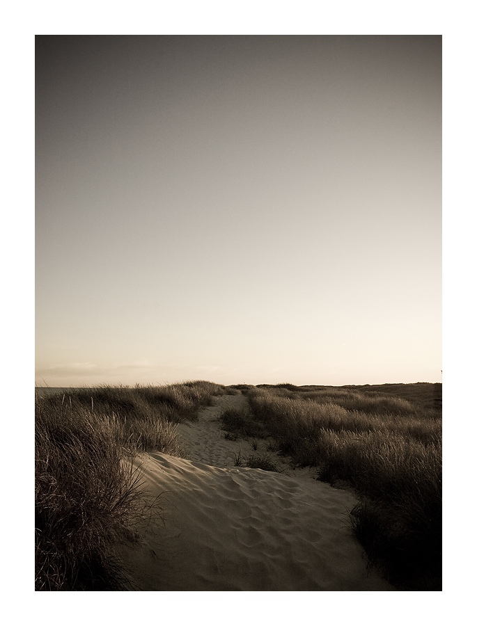 Steps in the Sand