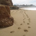 Steps in the sand