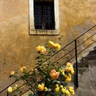 Steps near the Church of San Zeno