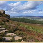 steps up simonside