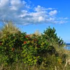 Øster Hurup - Dünen bei Novolund