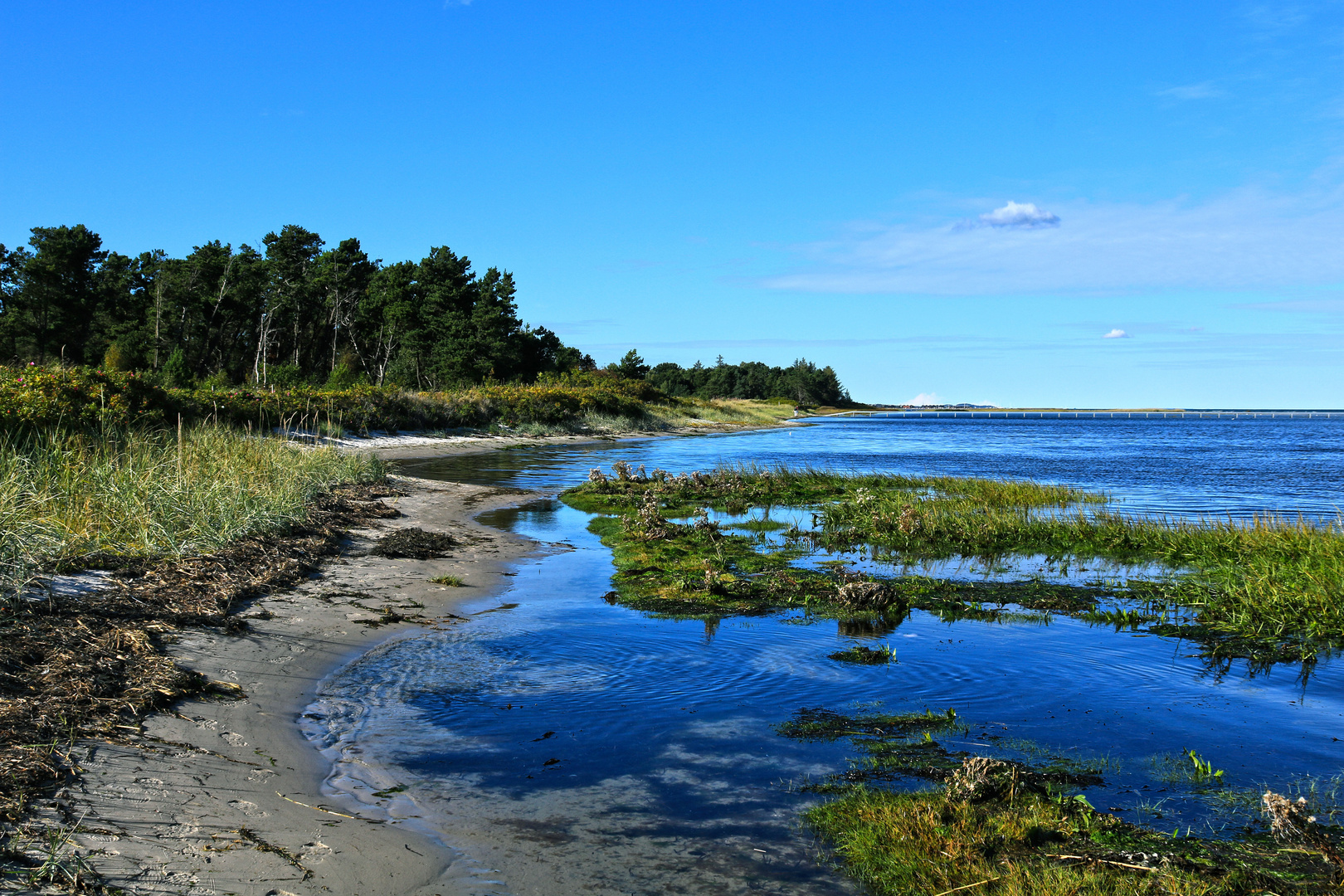 Øster Hurup - South Coast (3)