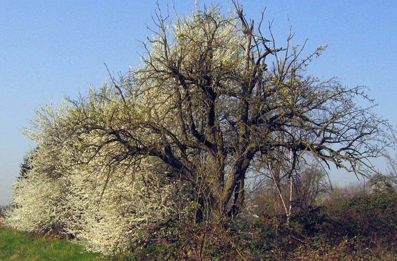 Sterben und Leben