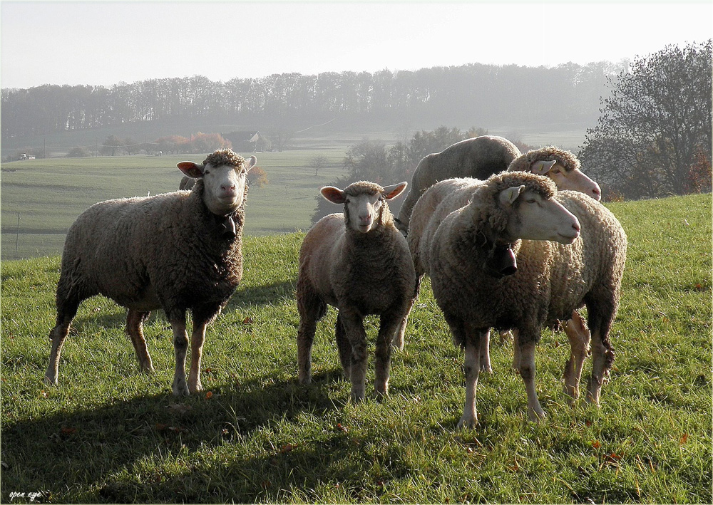 _ Stereo Blickwinkel _