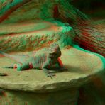 Stereomontage Anaglyphe und Kreuzblick (Kurzer Lehrfilm)