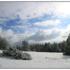 Sternberg bei Münsingen