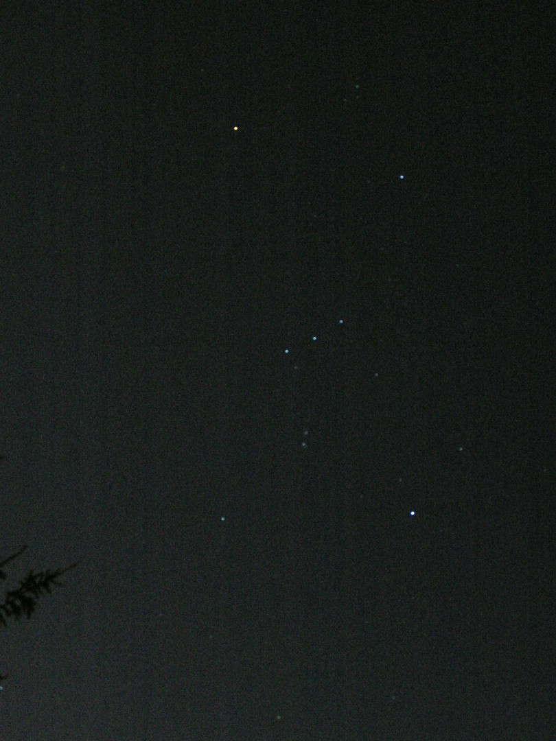 Sternbild Orion