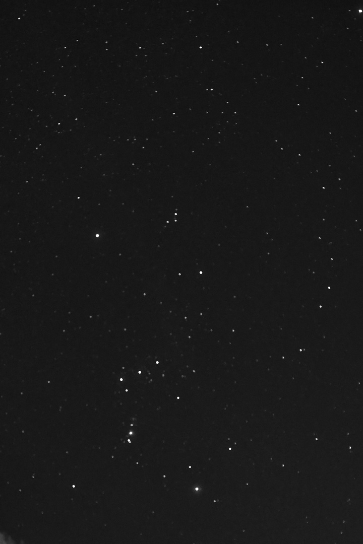 Sternbild Orion