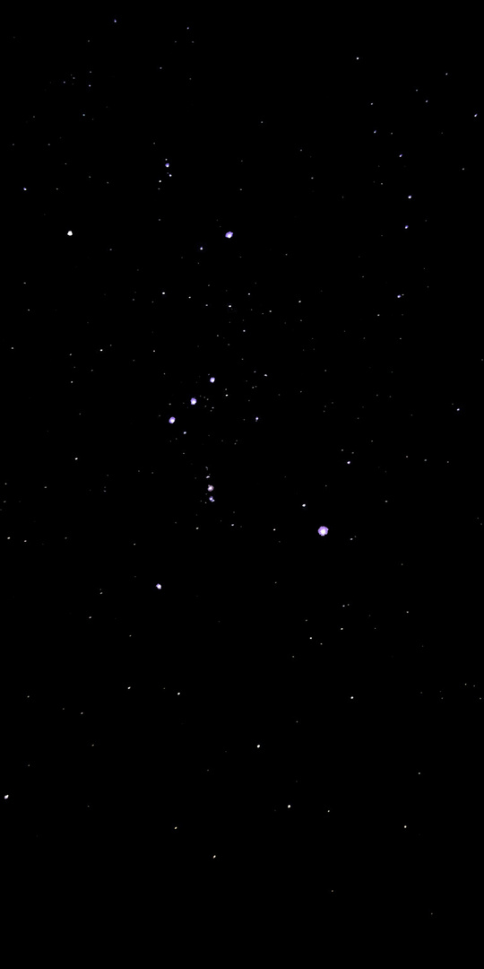 Sternbild Orion