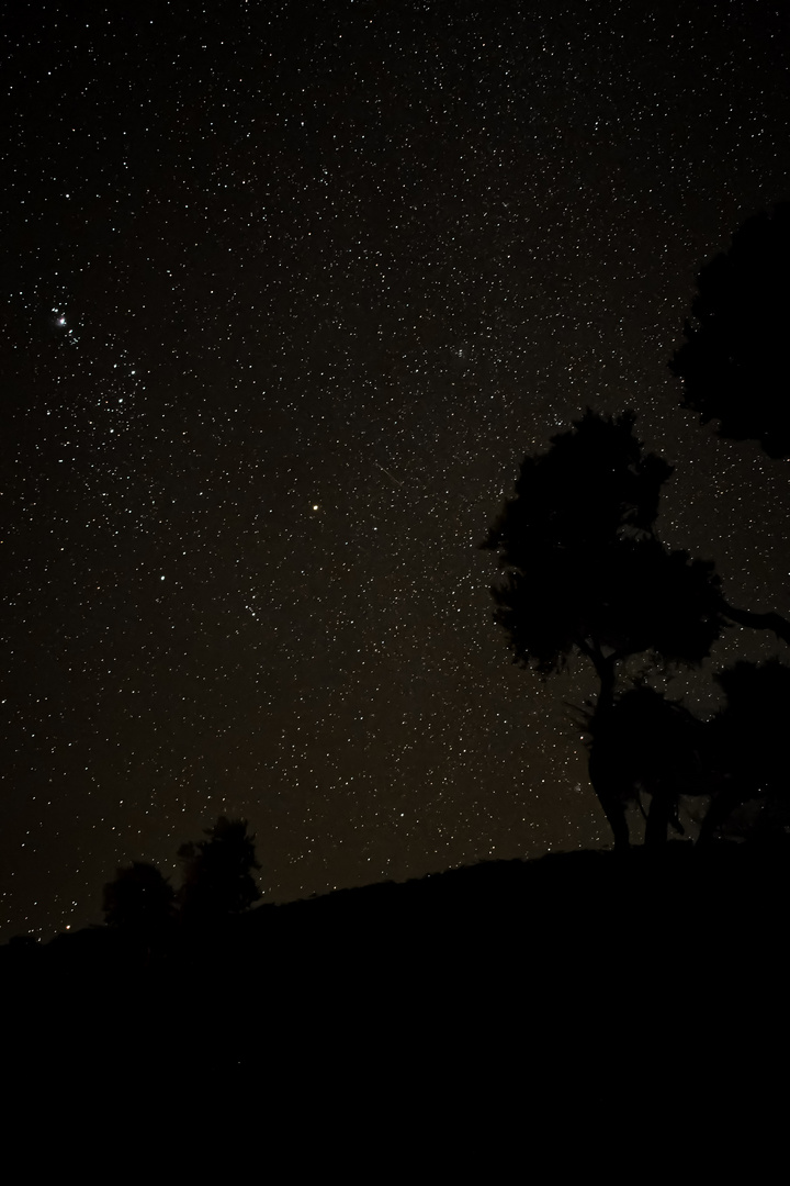 Sternbild Orion in Wilsons Promontory