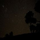 Sternbild Orion in Wilsons Promontory