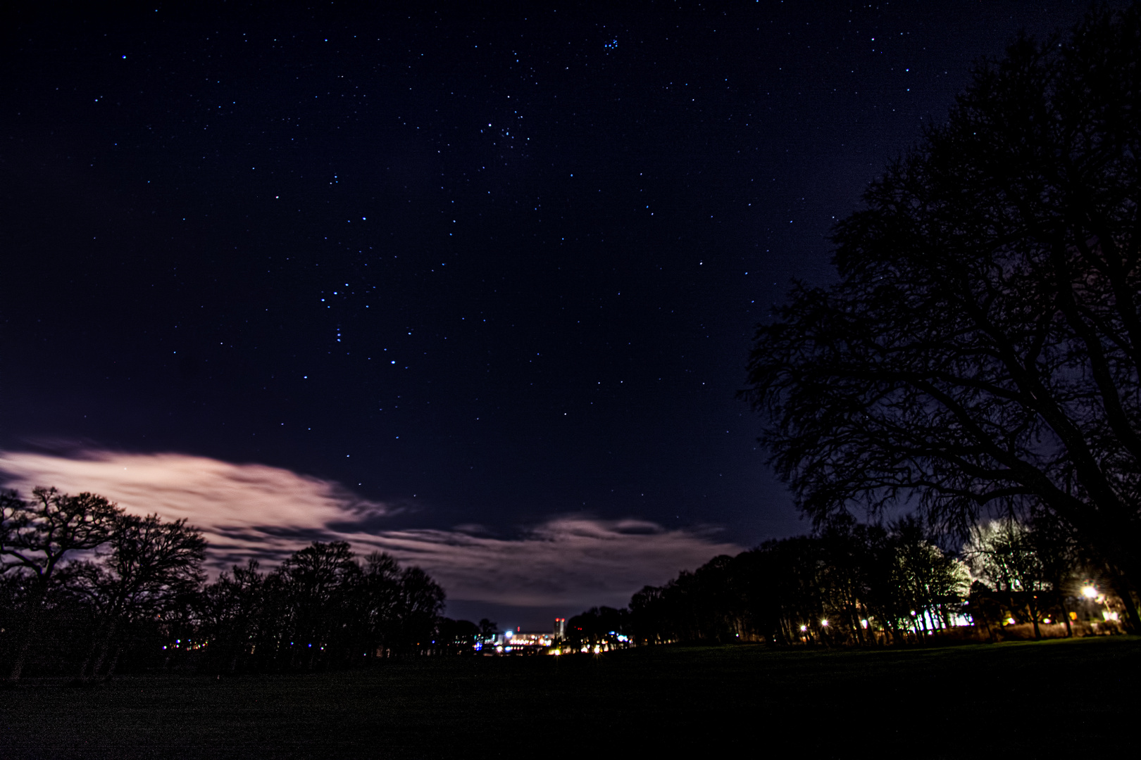 Sternbild Orion über dem Jenischpark