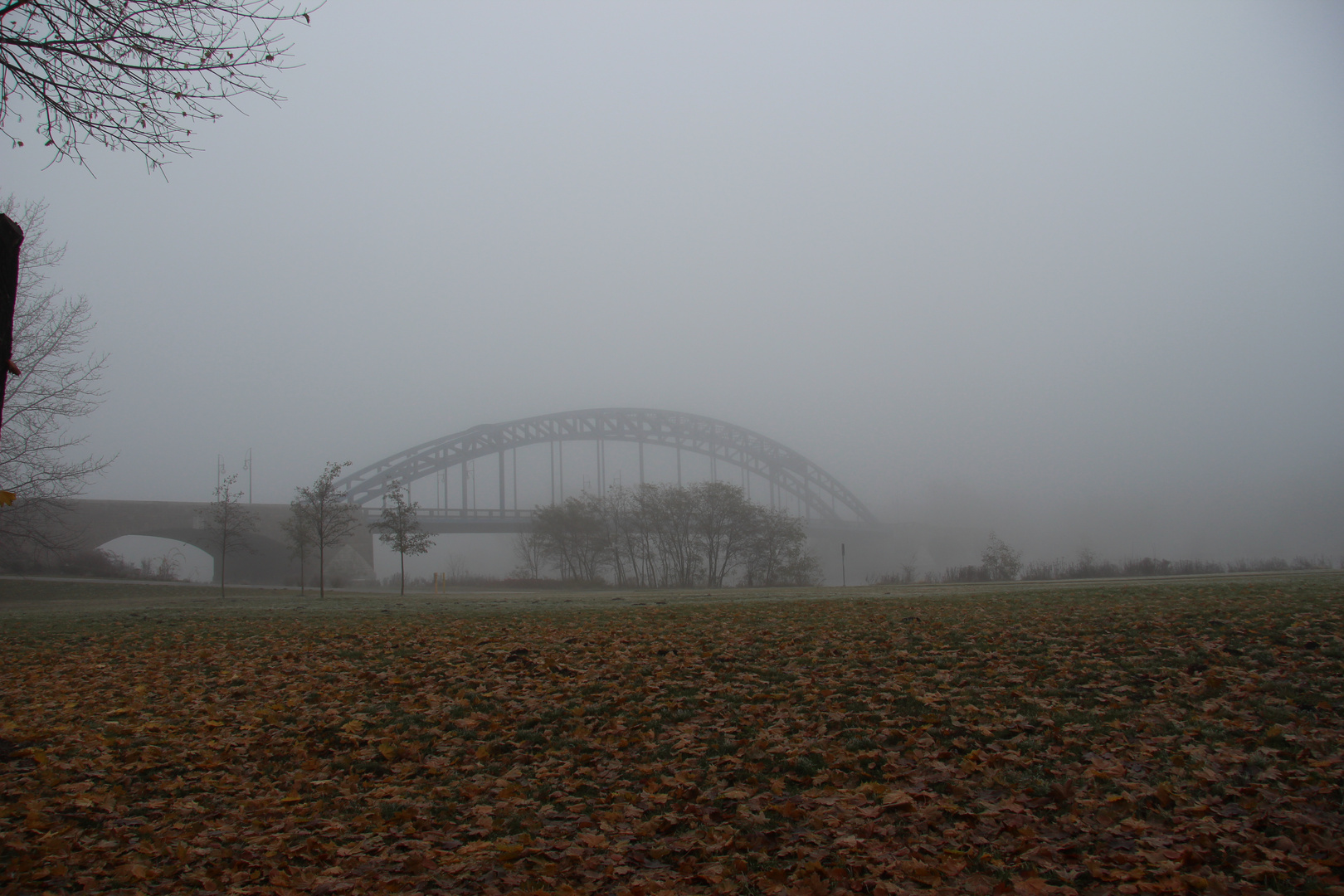 Sternbrücke bei Nebel