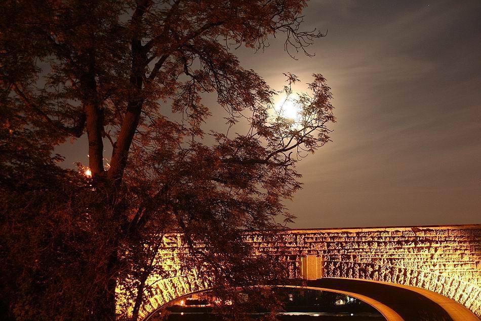Sternbrücke in Magdeburg bei Nacht II