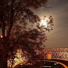 Sternbrücke in Magdeburg bei Nacht II