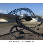 Sternbrücke Magdeburg (3)