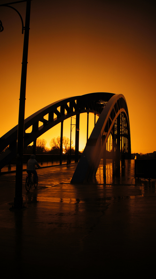 Sternbrücke Magdeburg im gelb des Himmels getaucht