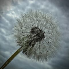 Sternchen-am-Himmel