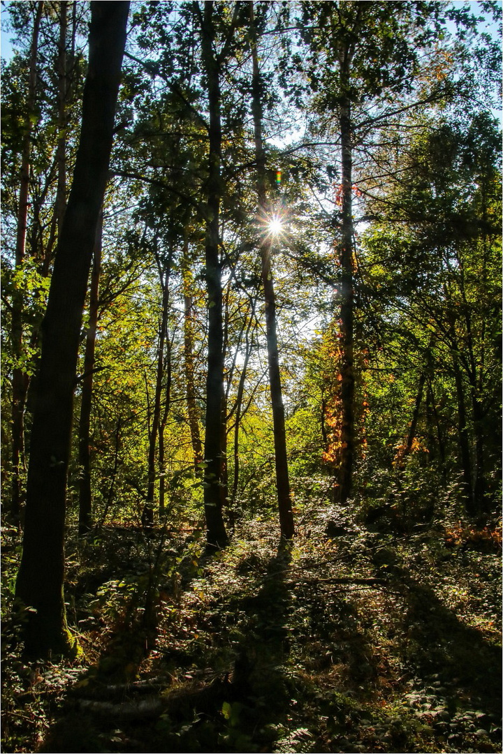 Sternchenoktober