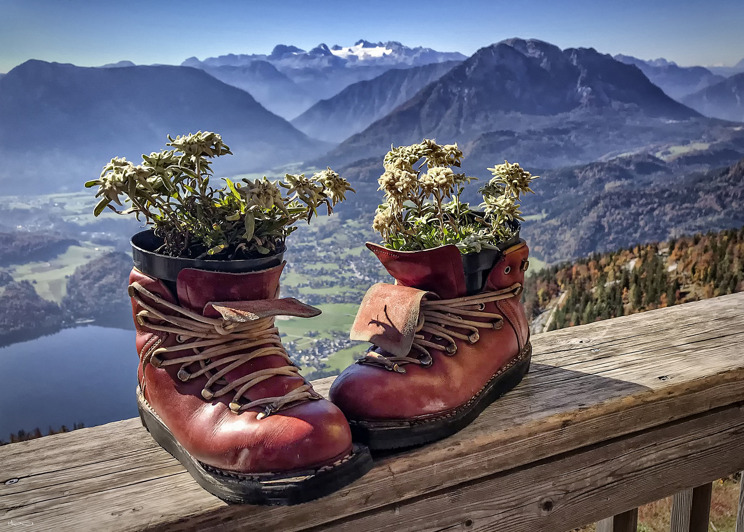 Sterne der Alpen