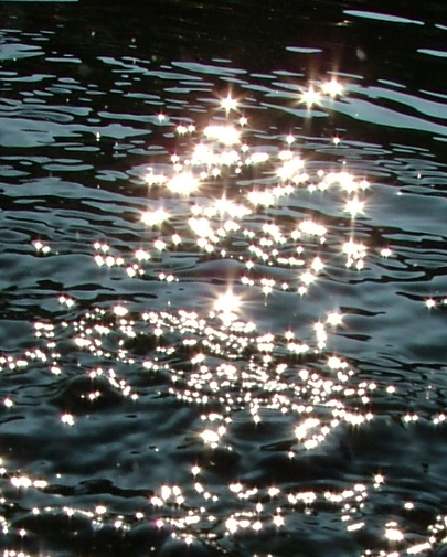 Sterne im Teich