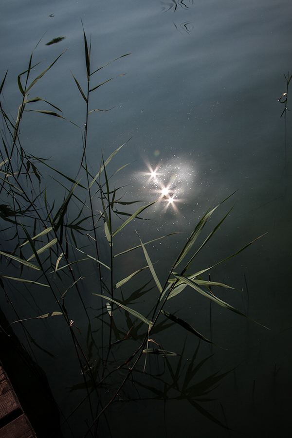 Sterne im Wasser