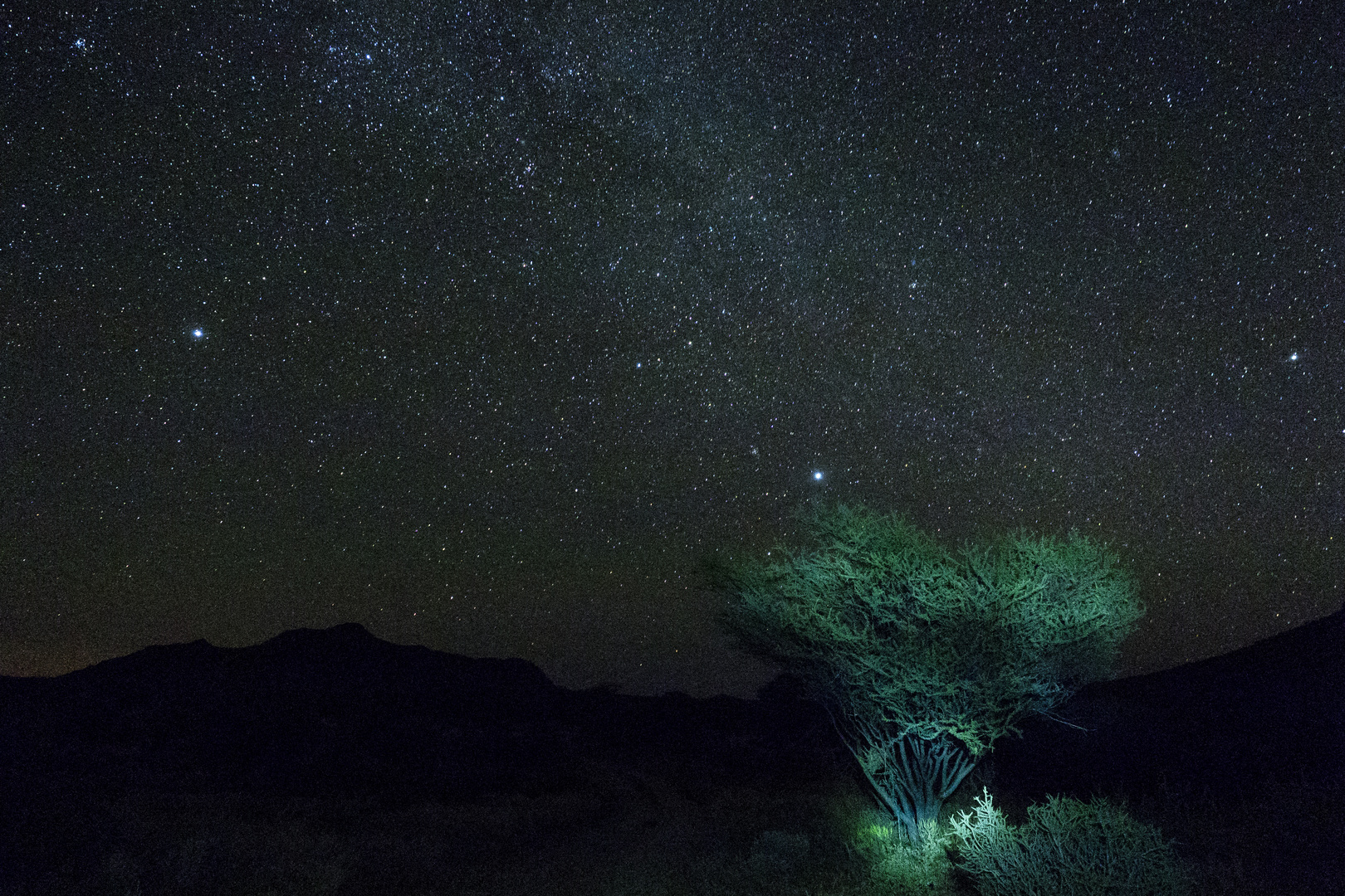 Sterne über der Kalahari