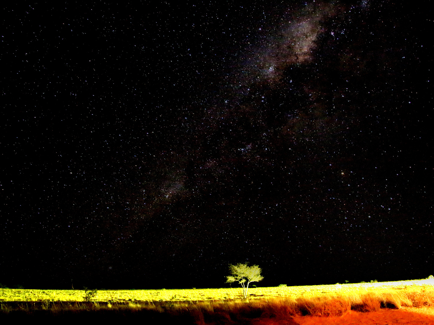 Sterne über der Namib