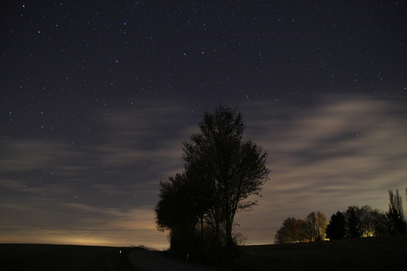 Sterne, Wolken und ein Baum