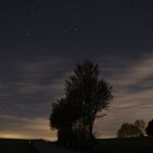 Sterne, Wolken und ein Baum