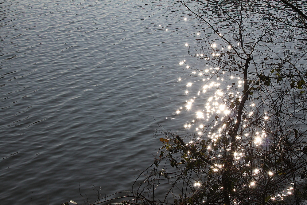  Sternen auf dem See