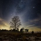 Sternen Baum