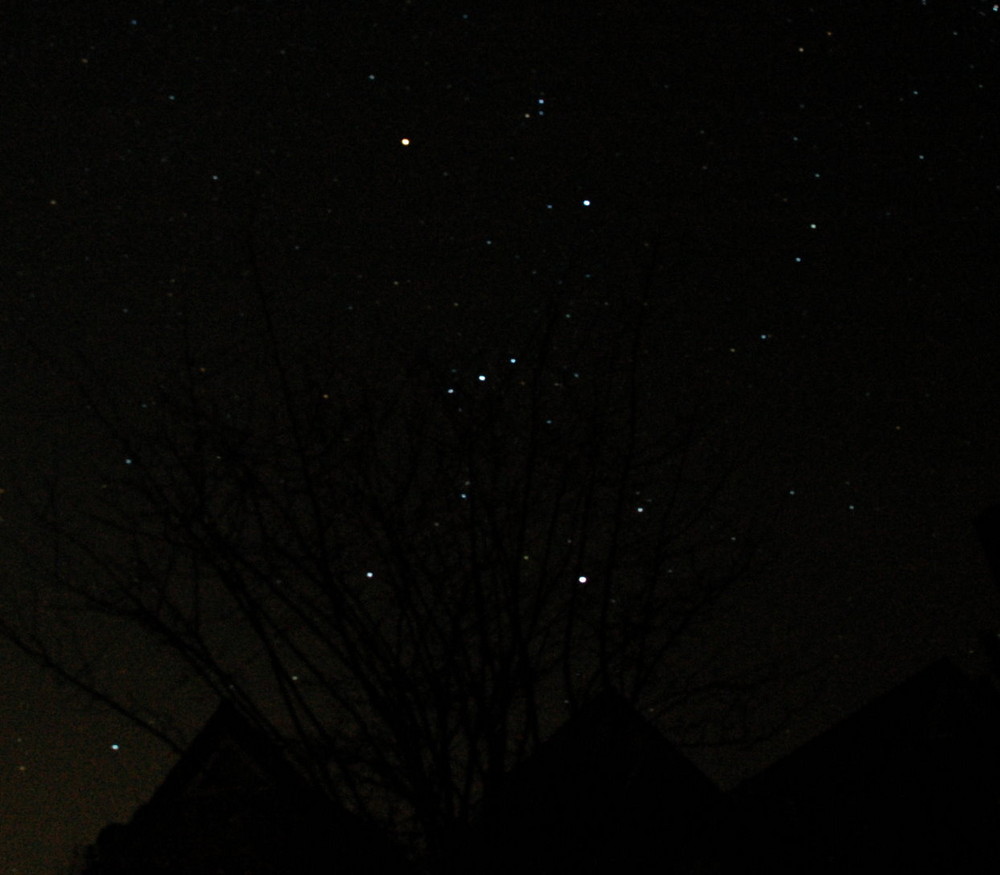 Sternenbild Orion
