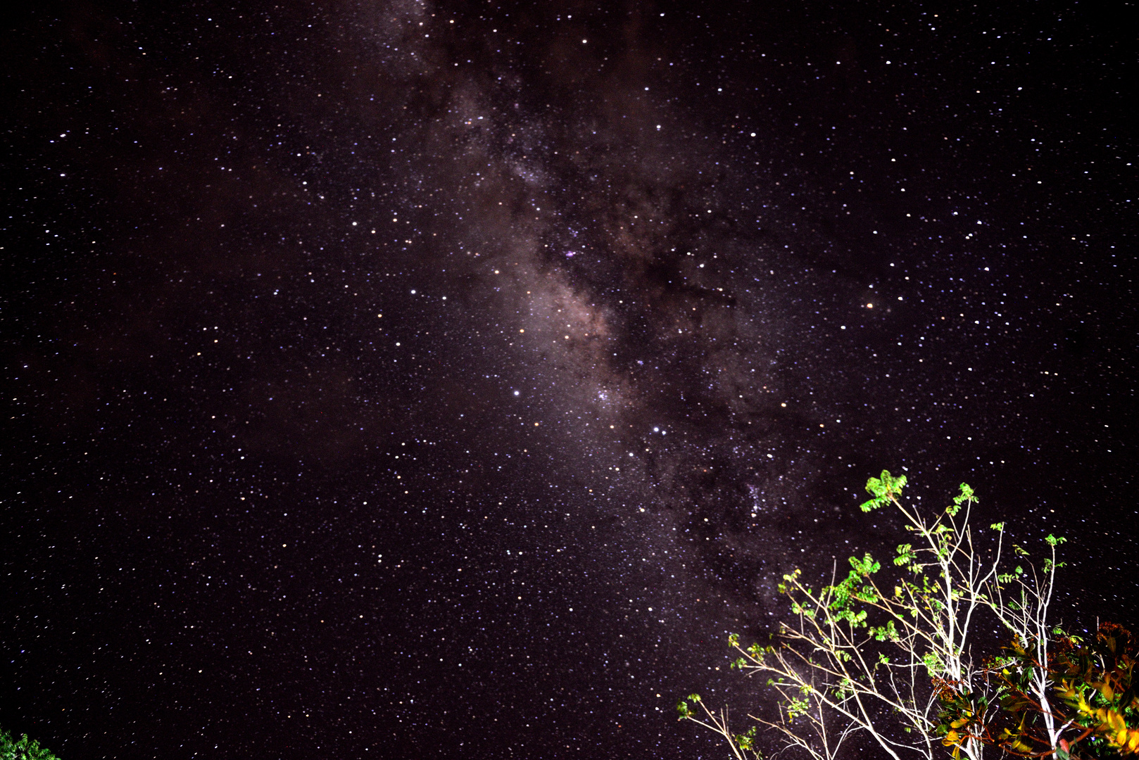 Sternenhimmel am Amazonas