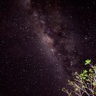 Sternenhimmel am Amazonas