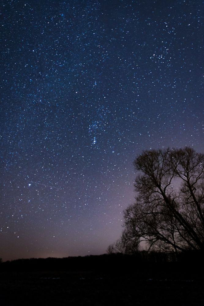 Sternenhimmel foto bild astrofotografie himmel universum mond