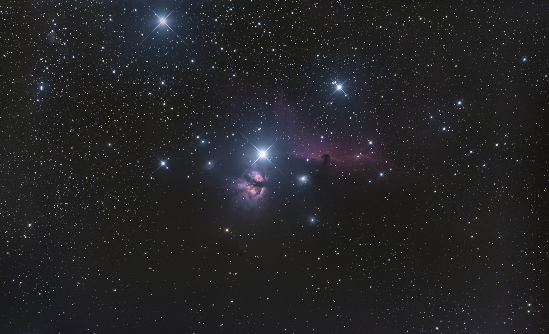 Sternenhimmel im Sternbild Orion mit dem Pferdekopfnebel