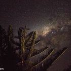 Sternenhimmel in New Zealand