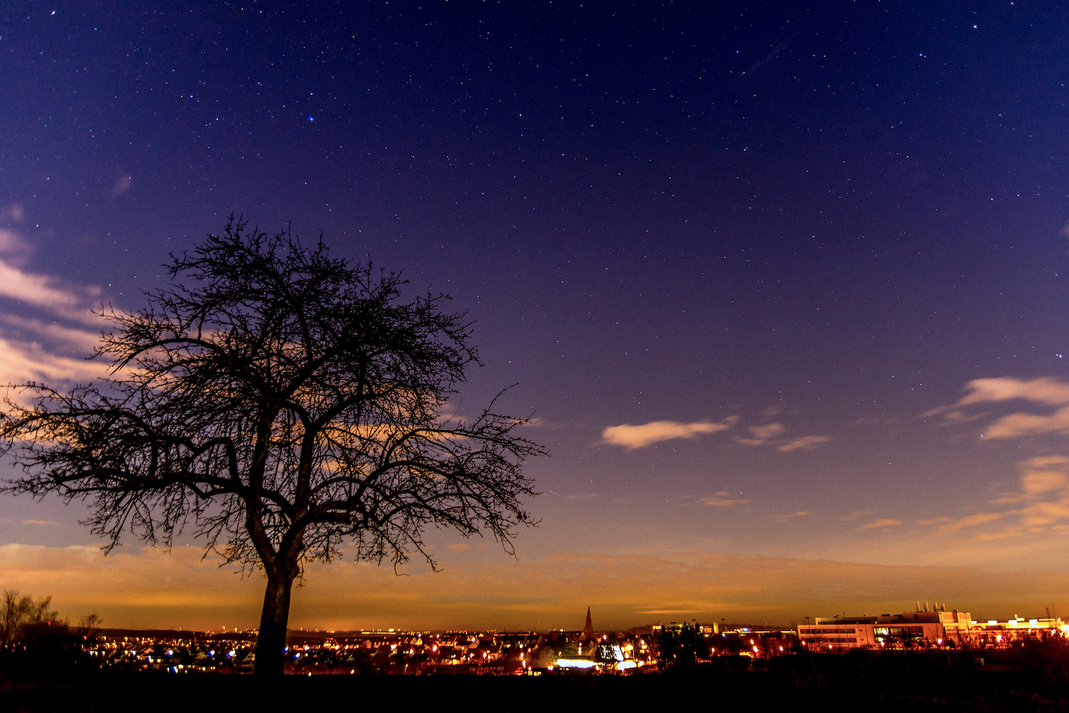 Sternenhimmel mit Baum