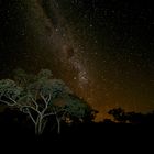 Sternenhimmel mit Milchstrasse im Karijini National Park