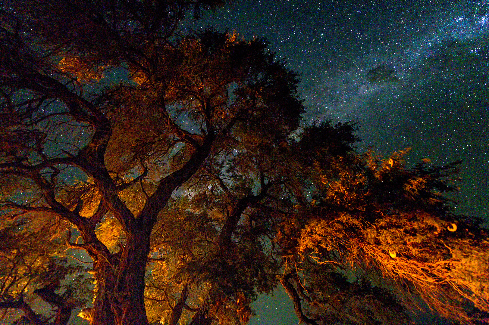 Sternenhimmel über Afrika