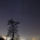 Sternenhimmel über dem Moor