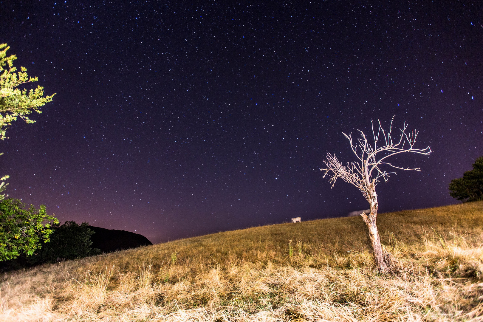 Sternenhimmel über dem Nationalpark Monti Sibillini (Italien, Marken)