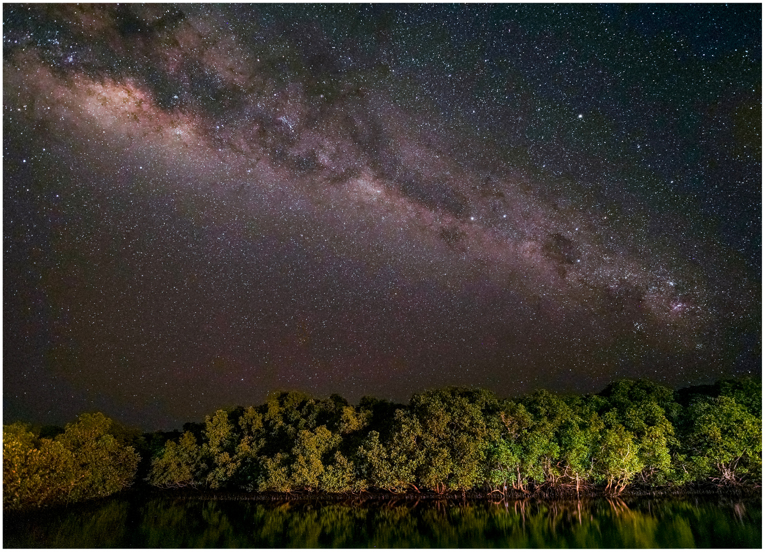 Sternenhimmel über den Mangroven von Rinca