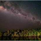 Sternenhimmel über den Mangroven von Rinca